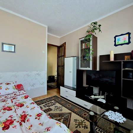 Sabina Apartment シギショアラ エクステリア 写真