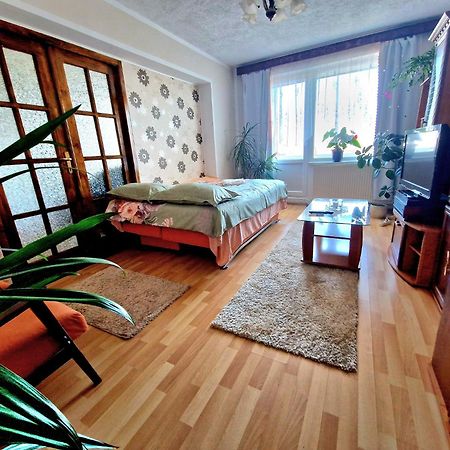 Sabina Apartment シギショアラ エクステリア 写真