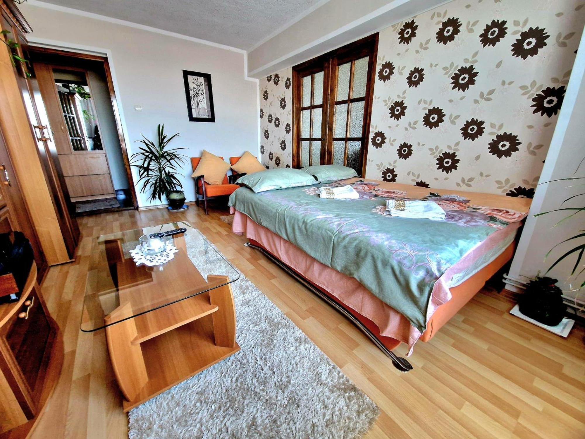 Sabina Apartment シギショアラ エクステリア 写真