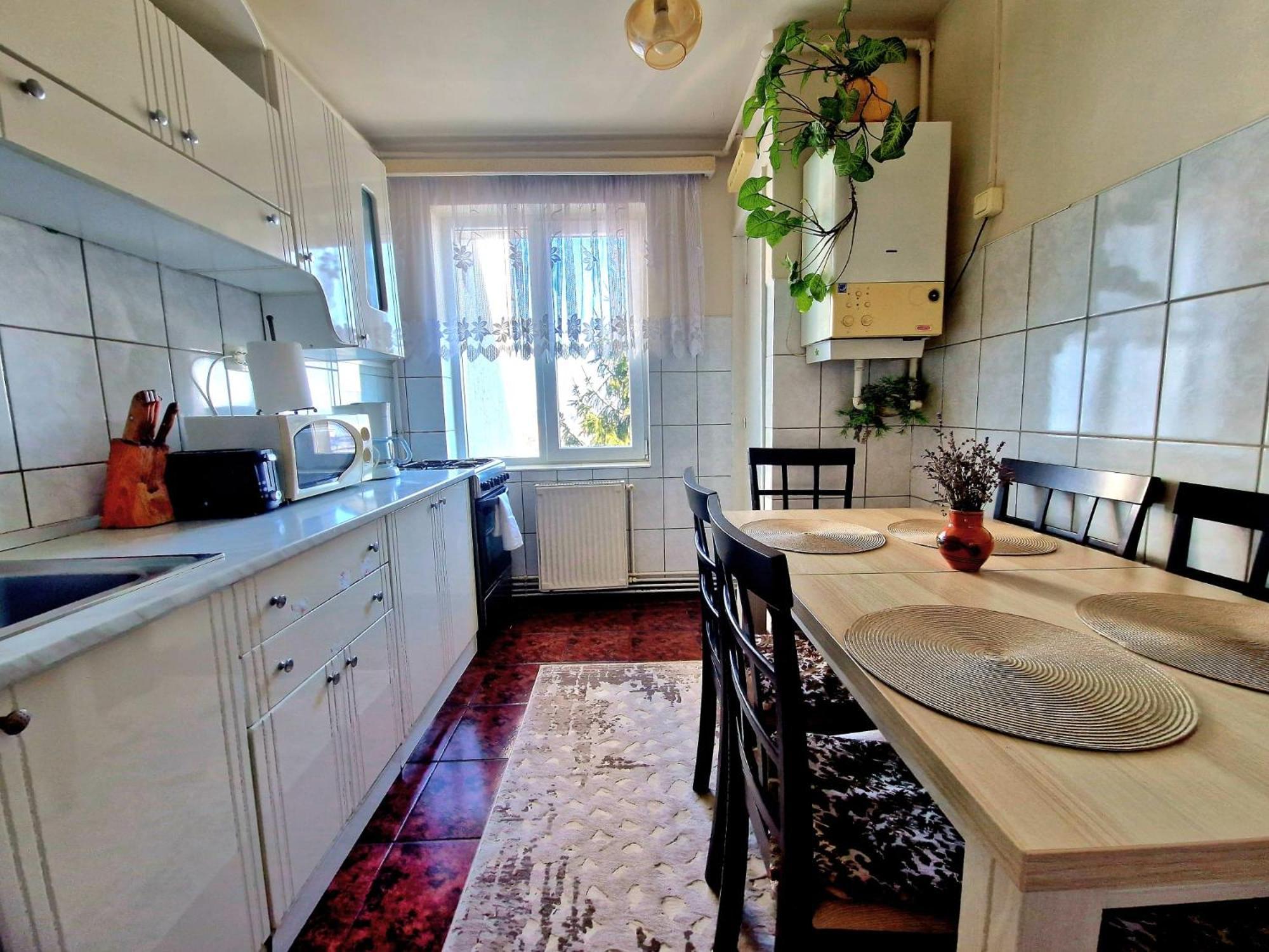 Sabina Apartment シギショアラ エクステリア 写真