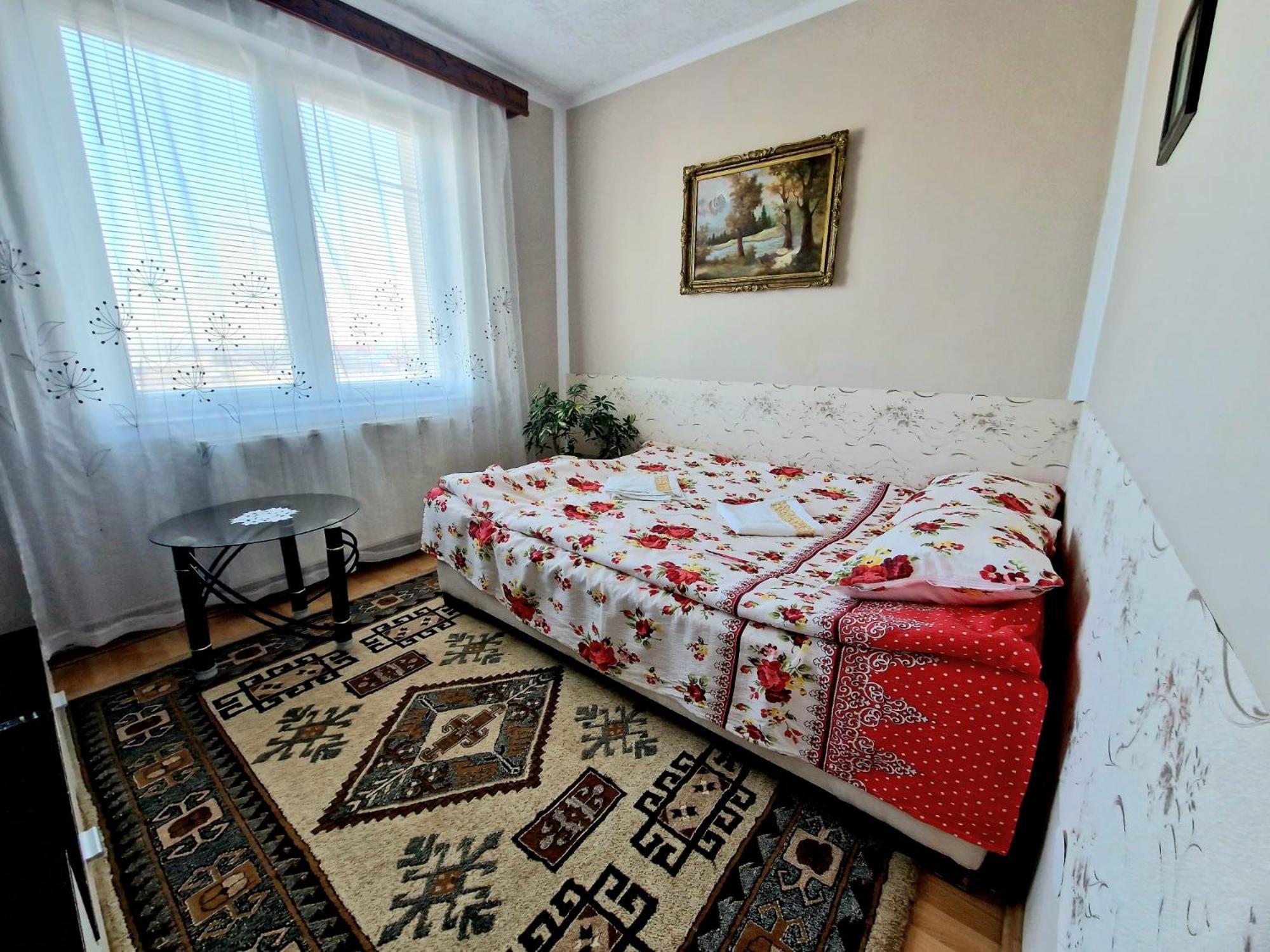 Sabina Apartment シギショアラ エクステリア 写真