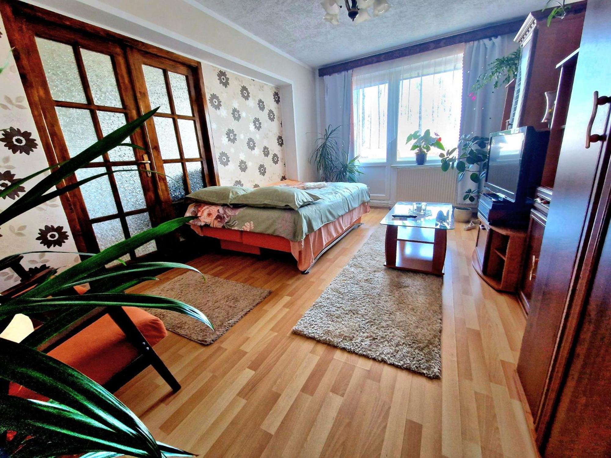 Sabina Apartment シギショアラ エクステリア 写真